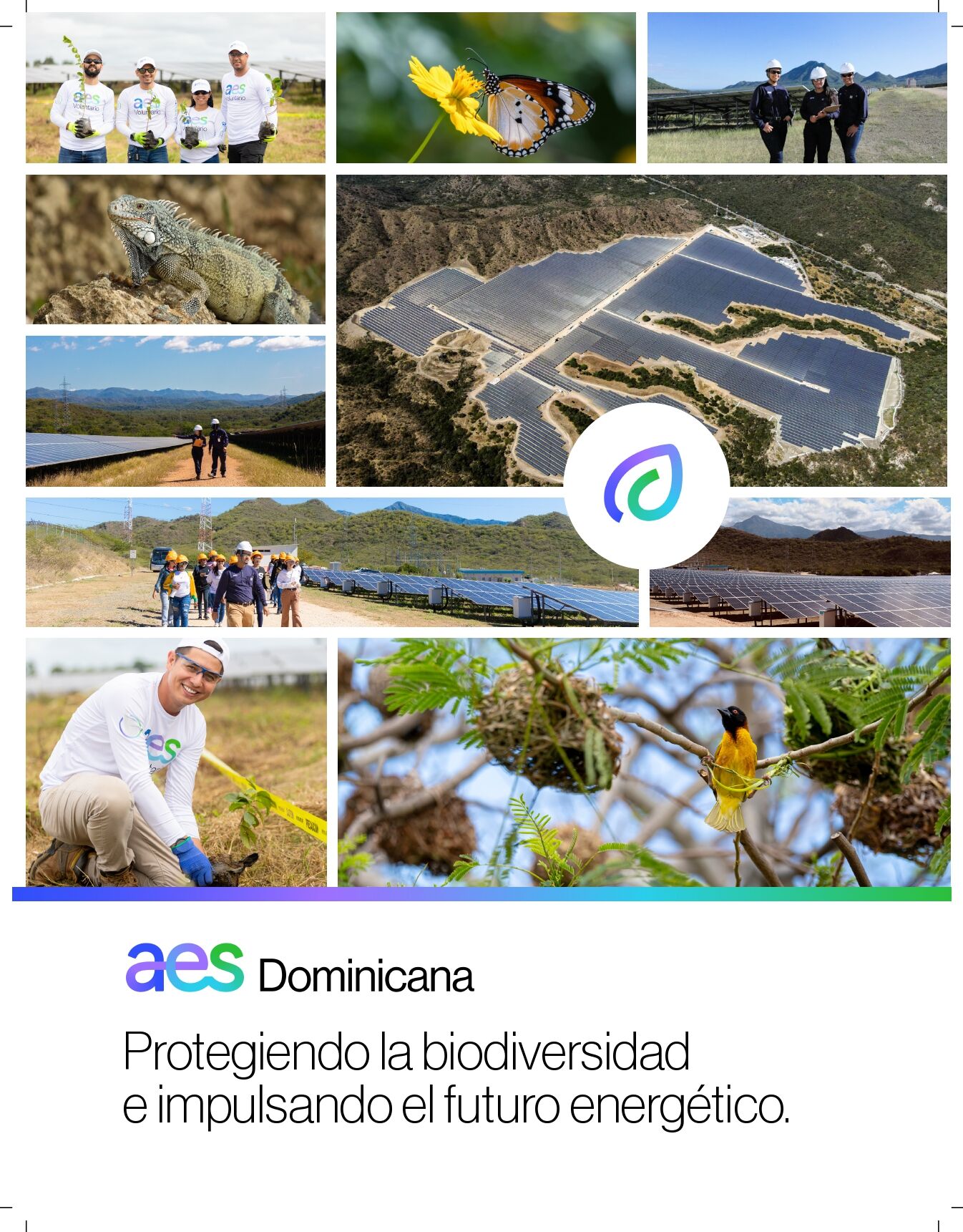 AES Dominicana