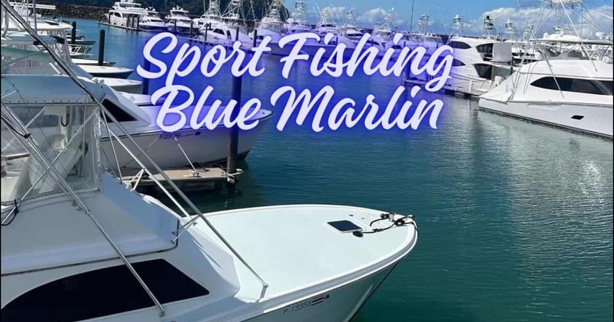 Blue Marlin se expande con ocho nuevas embarcaciones en Marina Los Sueños, Costa Rica