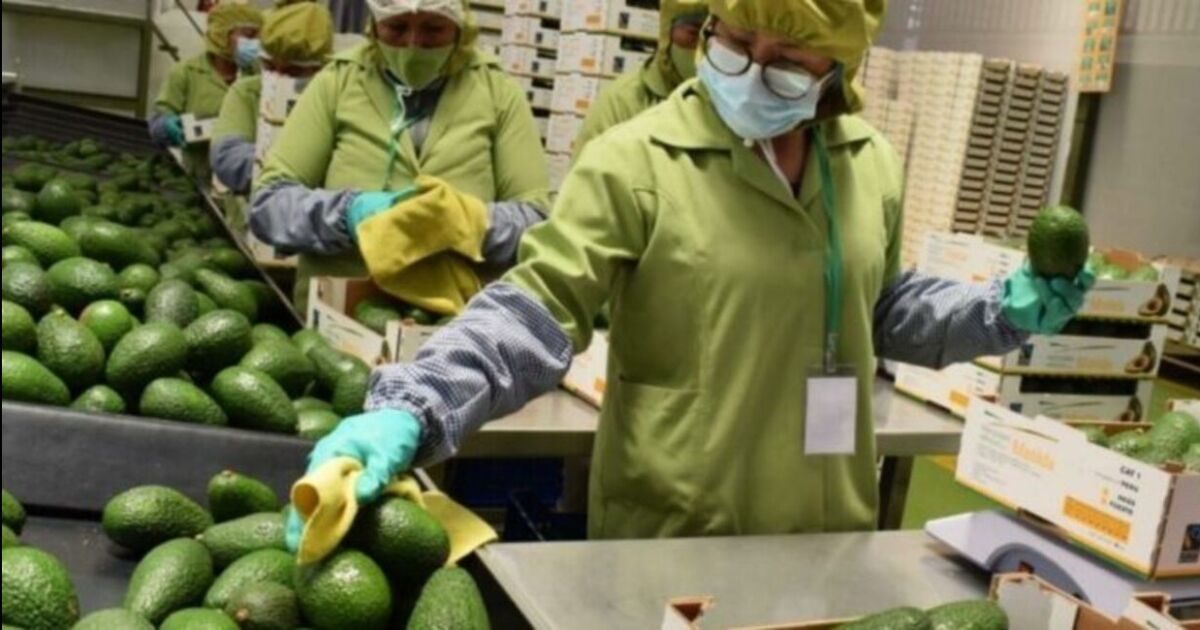 Aranceles de EE. UU. hacia América Latina y el Caribe aumentó 42 veces