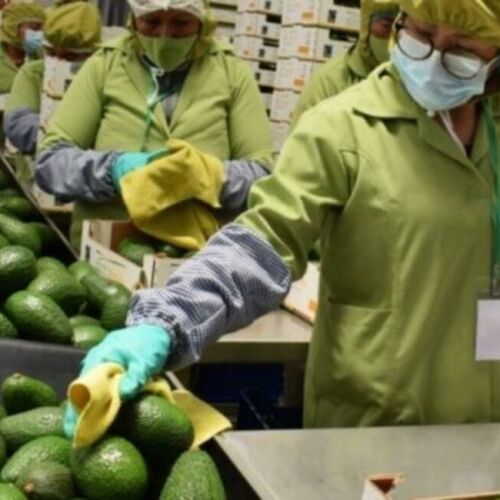 Aranceles de EE. UU. hacia América Latina y el Caribe aumentó 42 veces