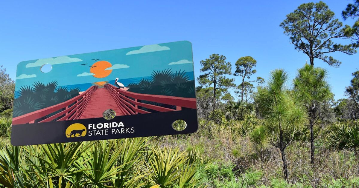 Parques Estatales de Florida revelan lo mejor de la verdadera Florida con los ganadores del concurso de fotografía de 2025