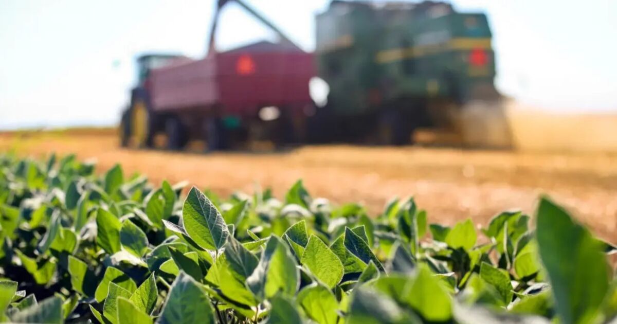 Inaugurado el Fondo de Conservación de Tierras Agrícolas de Georgia para proteger las granjas industriales