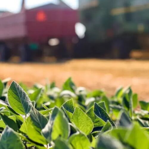 Inaugurado el Fondo de Conservación de Tierras Agrícolas de Georgia para proteger las granjas industriales