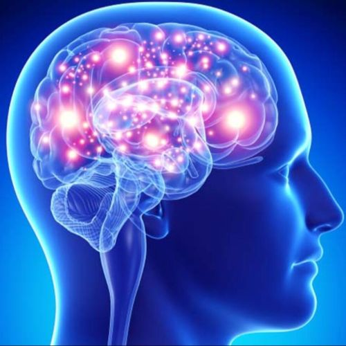 Contar con un entrenador cerebral podría ayudar a las personas a disminuir el riesgo de Alzheimer
