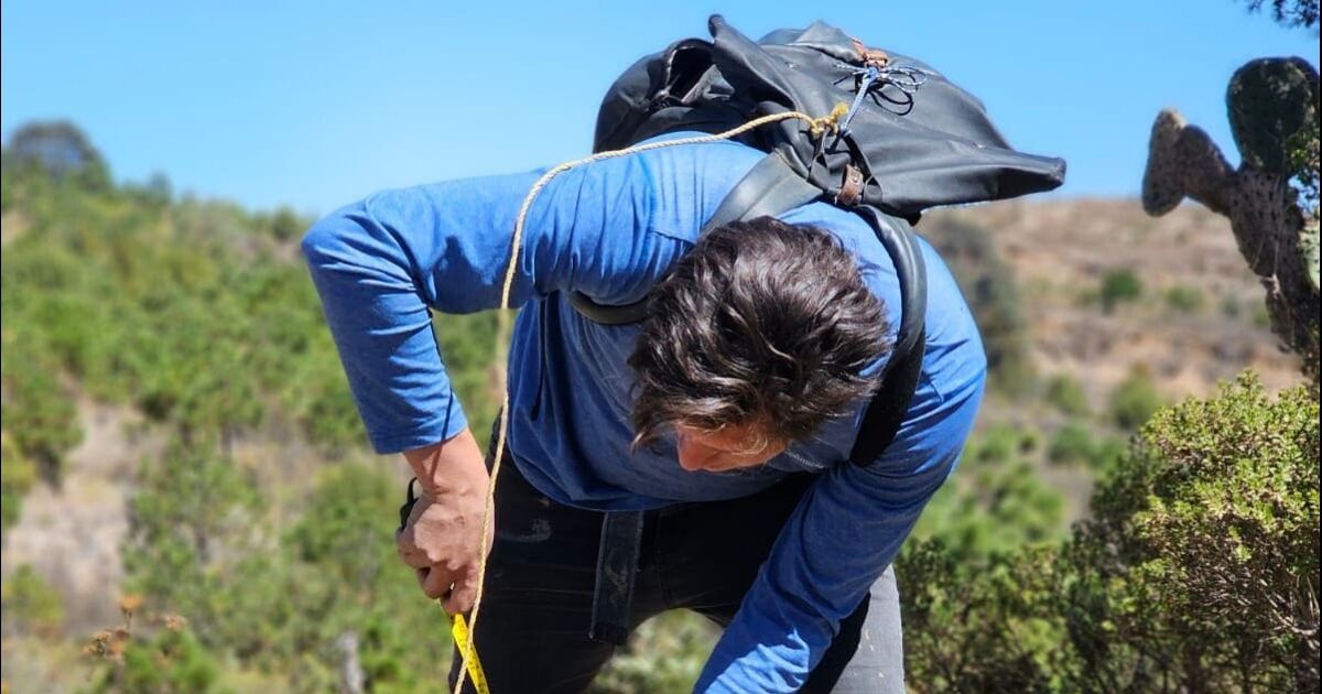 Valia Energía celebra el Día Mundial de la Tierra con alta tasa de supervivencia de sus jornadas de reforestación