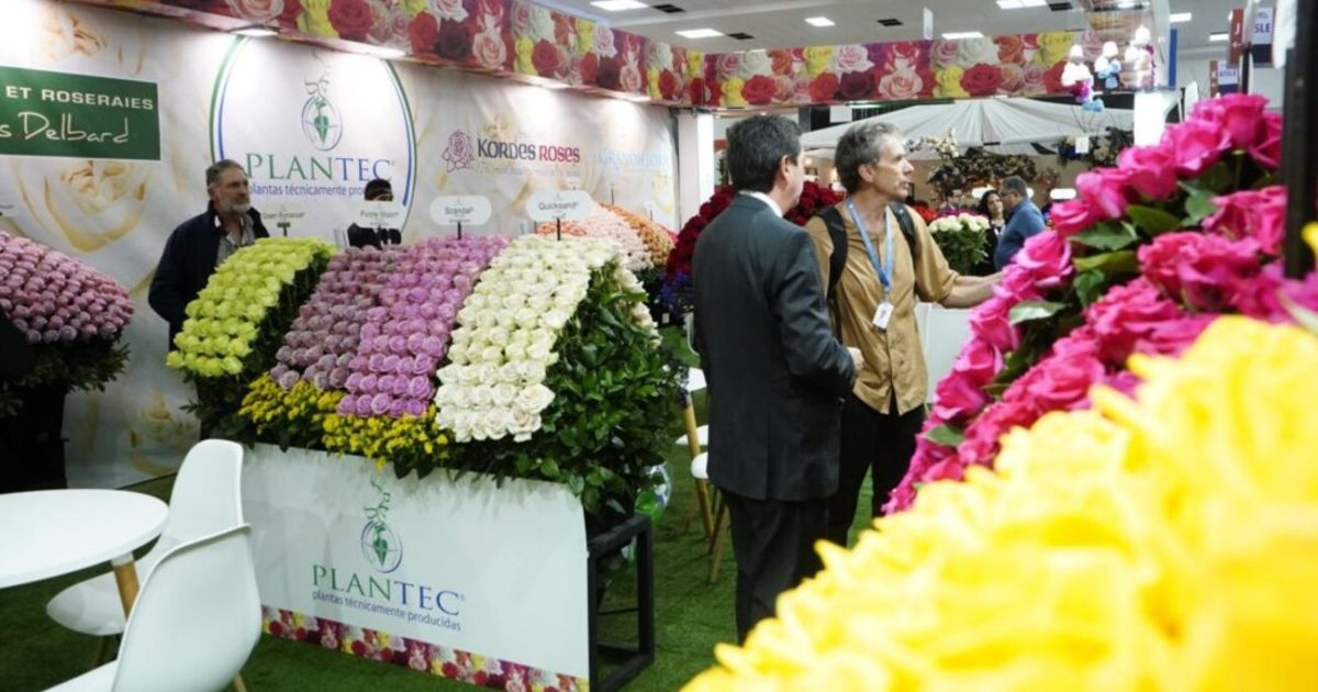 Sector florícola exportó 10% más por San Valentín