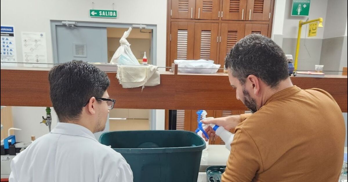 Prototipo de biorreactor transforma desechos de piña en soluciones agrícolas