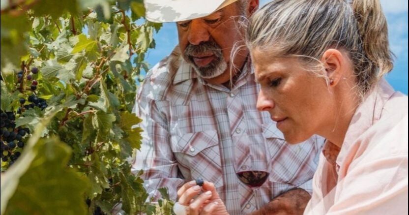 Vino mexicano va a nuevos mercados