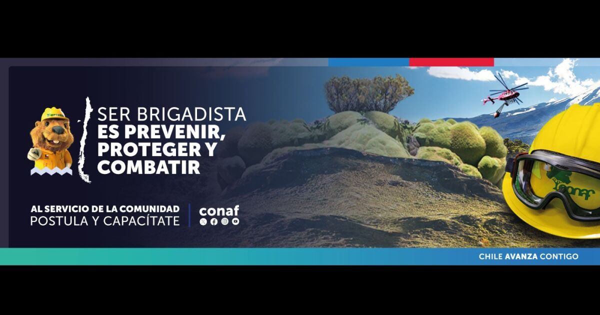 Comenzó proceso de inscripción para ser brigadista, periodo 2025-2026