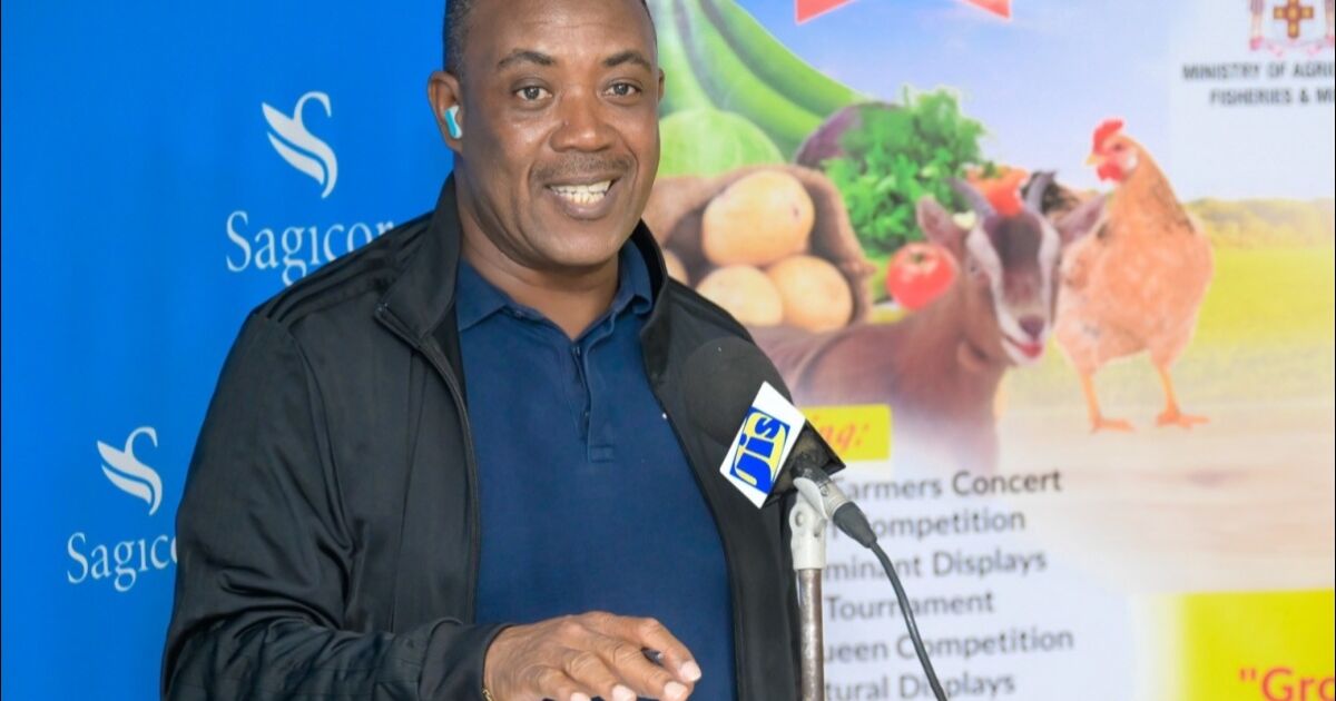Los Clubes 4-H de Jamaica se asociarán con el Ministerio de Trabajo para capacitar a personas para el programa en el extranjero