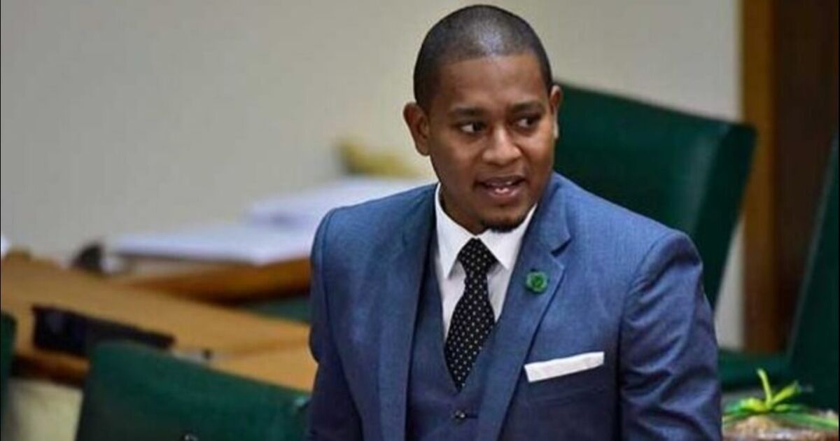 El huracán Melissa causó daños por más de 20 mil millones de dólares jamaicanos al sector agrícola de Jamaica