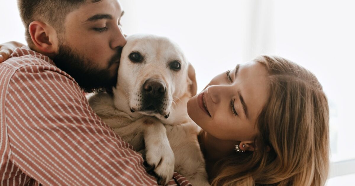 México, primer país en el mundo en lograr el registro de  NUMELVI® tratamiento de segunda generación para la dermatitis alérgica en perros