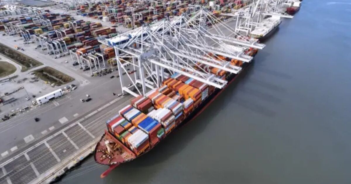 Puerto Interior de Gainesville abrirá sus puertas en mayo de 2026