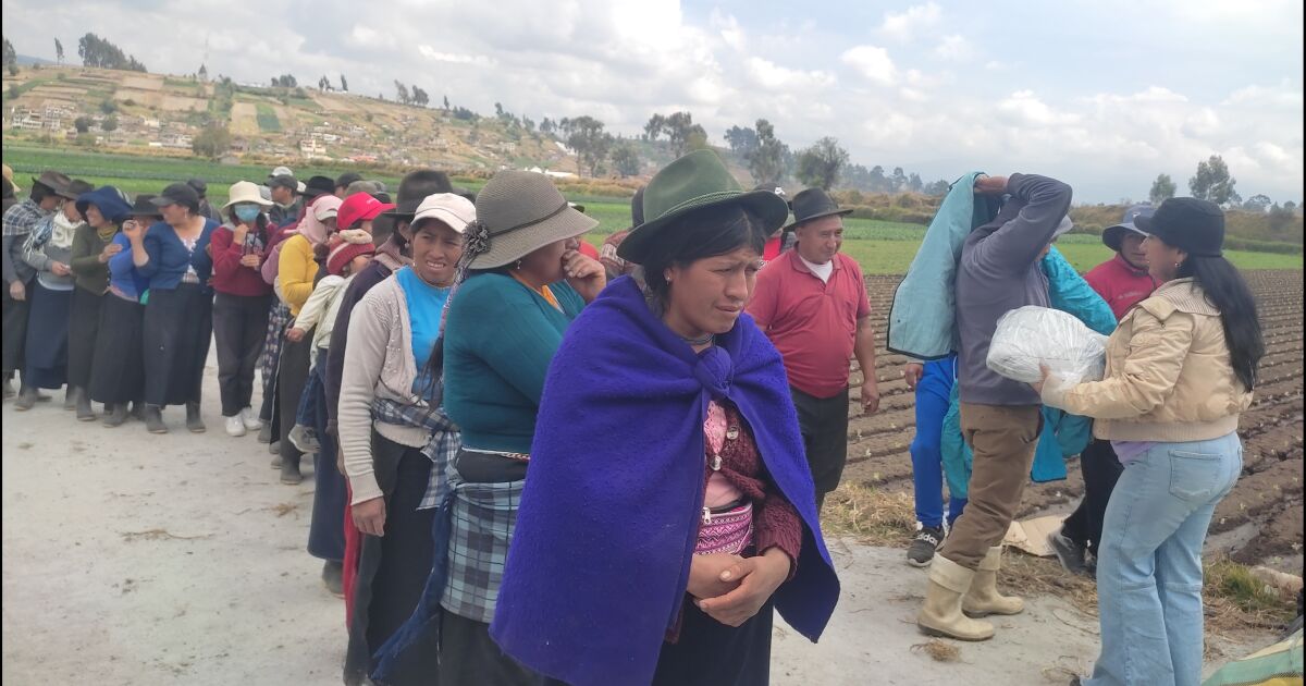 “Tía llegó al páramo andino con la donación de prendas de fríos para agricultores de esta zona alta del país”