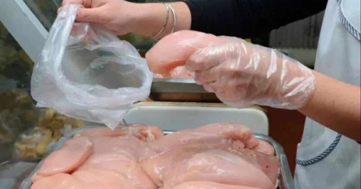 Sector avícola produce el 68% de la proteína animal consumida en Venezuela
