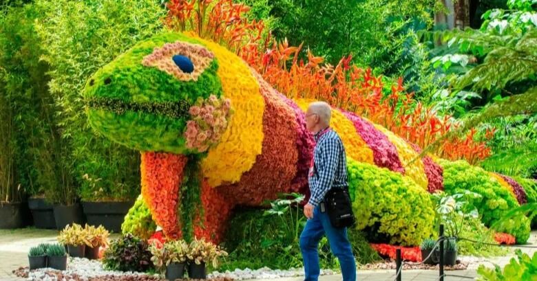 Feria de las Flores 2025: programación de los mejores planes para este miércoles 6 de agosto en Medellín