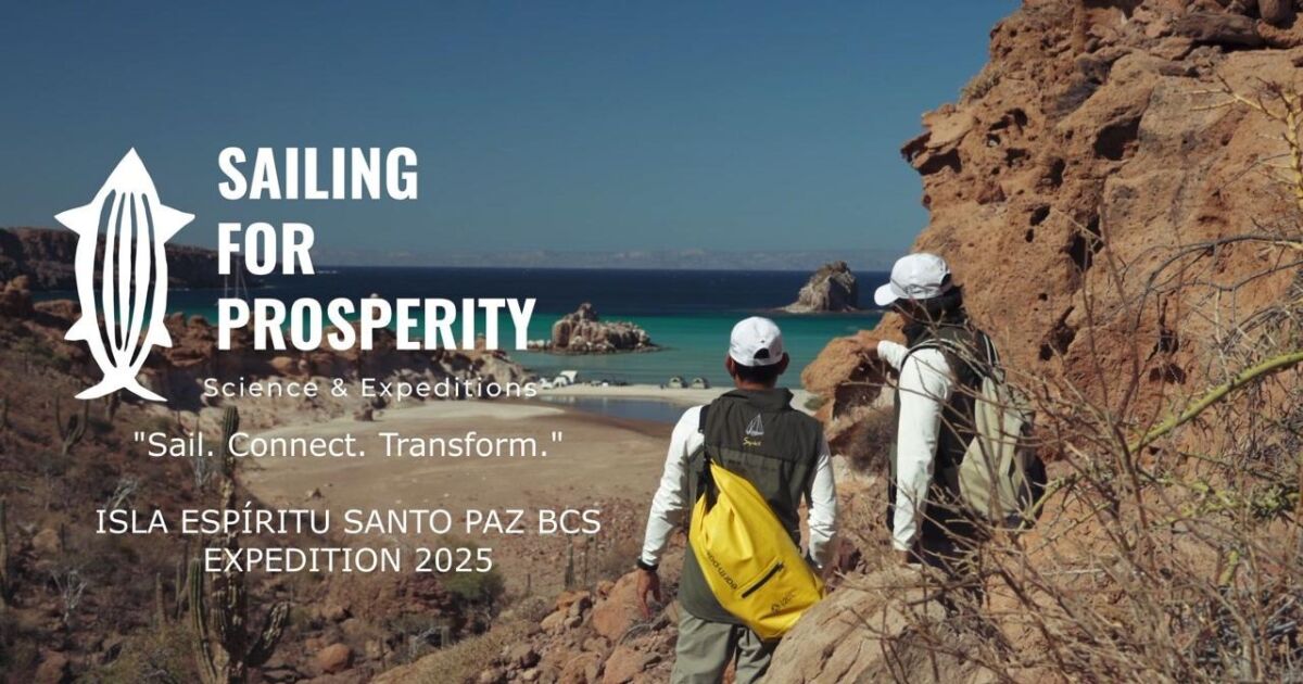 Sailing for Prosperity Impulsa una Nueva Generación de Líderes y Acciones de Regeneración Marina en el Mar de Cortés