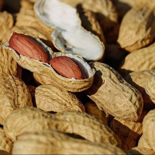 Maní cultivado en Georgia que lucha contra el hambre infantil