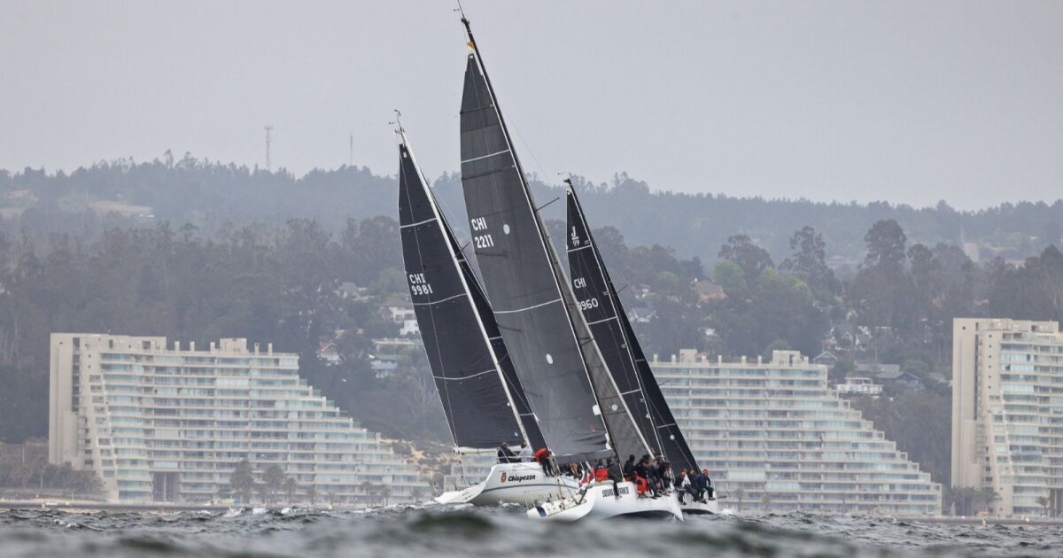 “Aura”, “O2”, “Nimara II” y “Pisco Sour” ganaron Regata Interclubes en Algarrobo