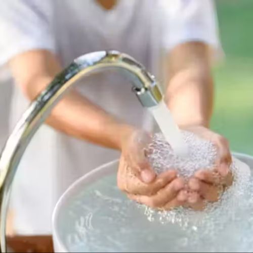 Purificación sostenible del agua: el MIT y Georgia Tech utilizan levadura para absorber el plomo en el agua