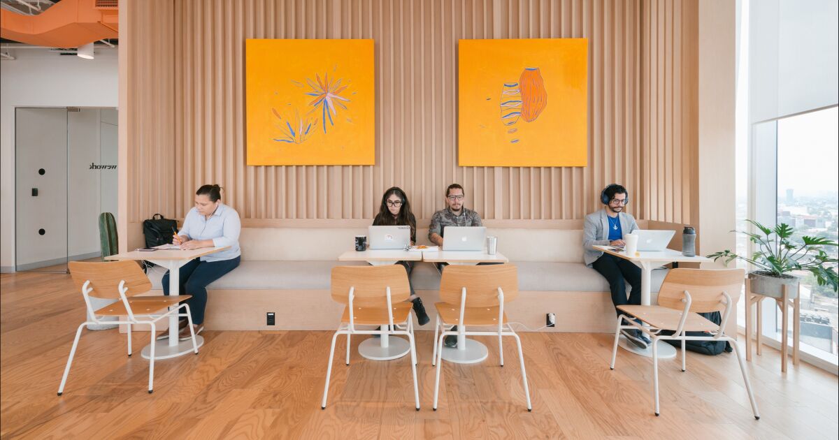 ¿Cómo se trabajó en el mundo en 2025? Nuevos datos del reporte global Member Year in Review de WeWork confirman un cambio permanente hacia la flexibilidad para empresas
