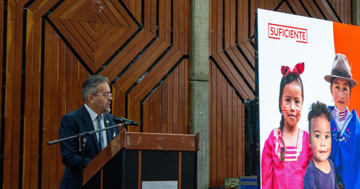 Entre los 7 y 10 años se define el futuro de la niñez con desnutrición crónica en Ecuador