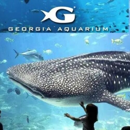 El Acuario de Georgia obtiene la segunda certificación WheelChariot Gold por accesibilidad