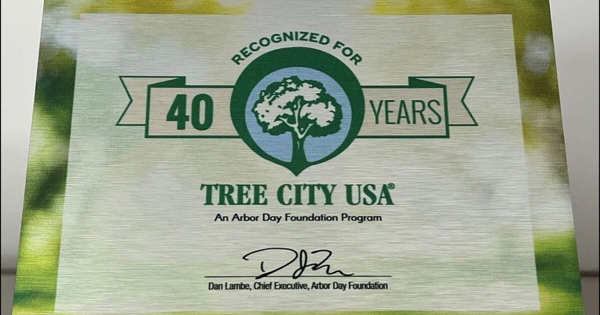 La ciudad de Atlanta ha recibido el premio Tree USA City Growth Award por 40.º año consecutivo