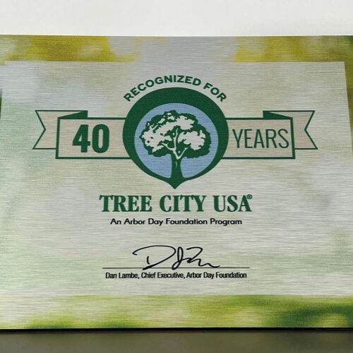 La ciudad de Atlanta ha recibido el premio Tree USA City Growth Award por 40.º año consecutivo