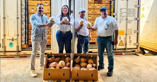 República Dominicana envía a EE.UU. primera carga de coco de agua