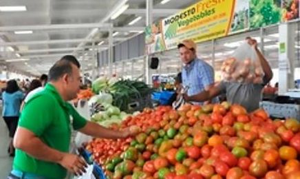 El Gobierno garantiza el abastecimiento de alimentos en comercios