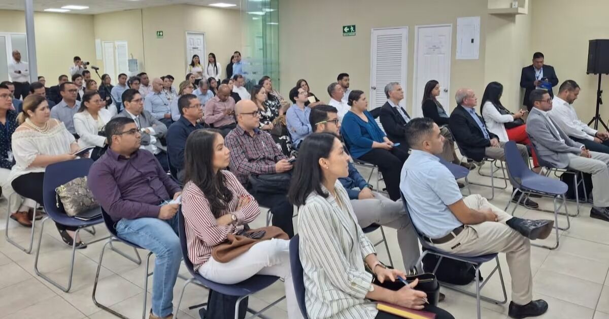 Más de 60 empresas participan de las consultas para licitación en energías renovables