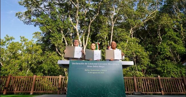 En un acuerdo histórico, México, Guatemala y Belice crean el Corredor Biocultural de la Gran Selva Maya, el más grande del mundo en su tipo