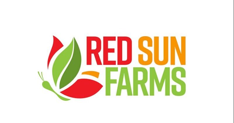 Red Sun Farms causa sensación en la IFPA con sus innovadoras cosechas de tomates y pepinos