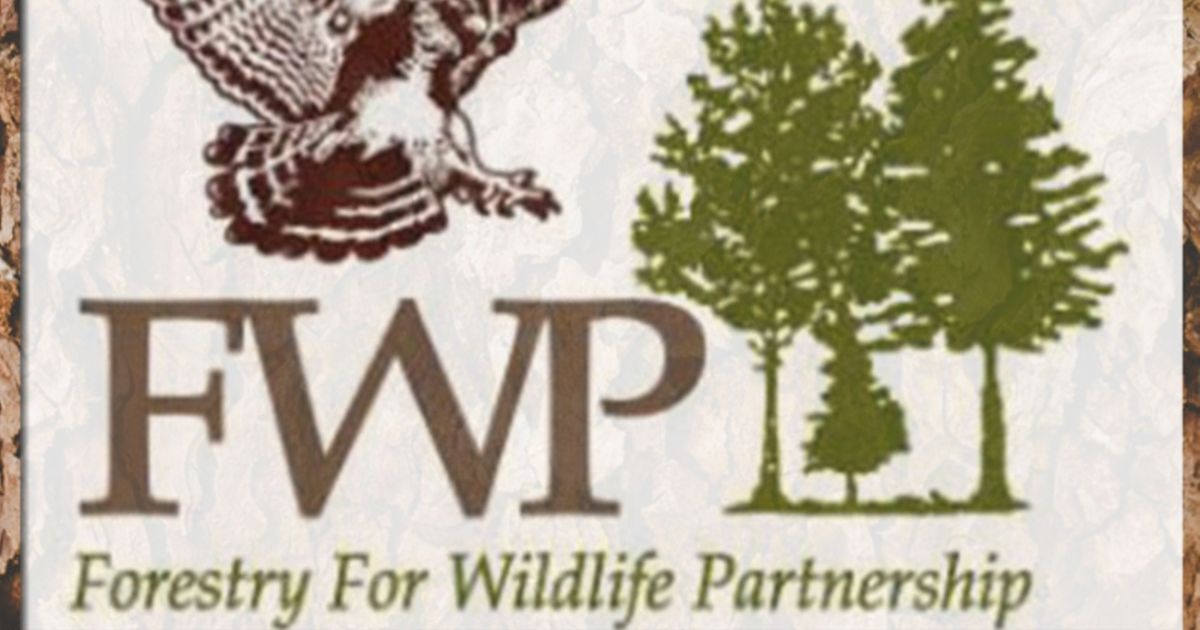 Anuncian los socios de silvicultura para la vida silvestre de Georgia para 2024