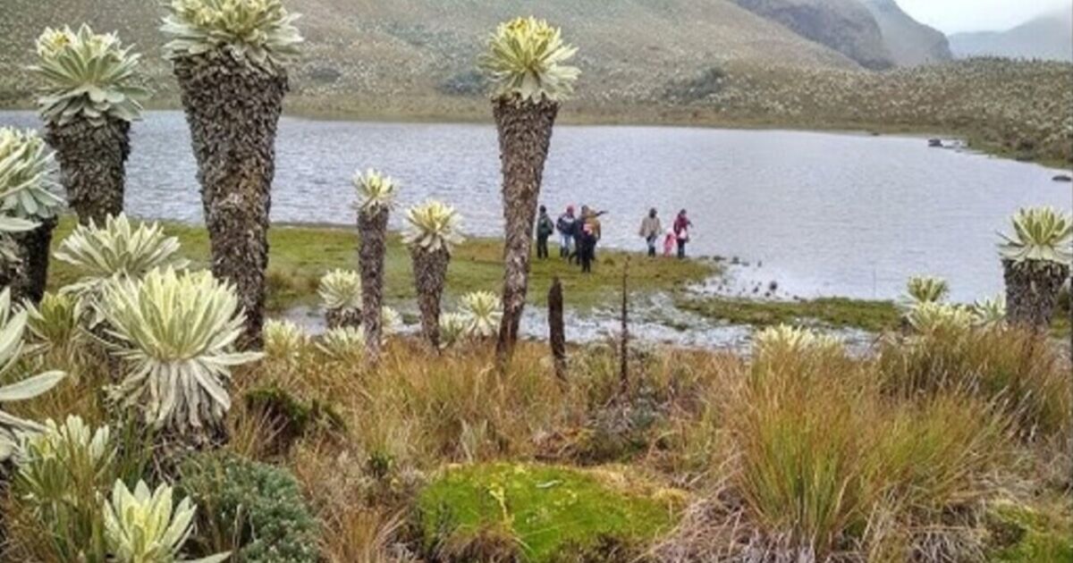 Los destinos turísticos menos conocidos de Ecuador para visitar en 2025