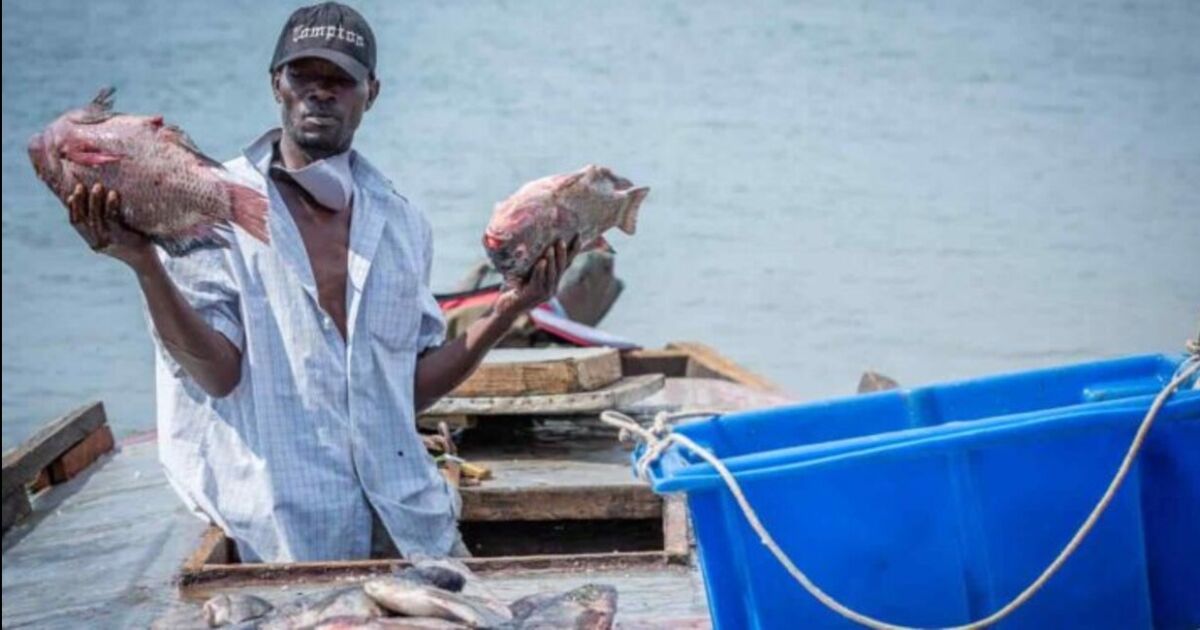 Aprobada ley que garantiza la seguridad social para pescadores y campesinos artesanales