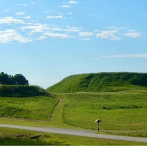Grupo de conservación de tierras adquiere propiedades cerca de Ocmulgee Mounds