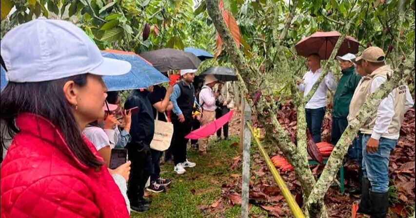 Colombia fortalece su posicionamiento internacional en sostenibilidad con café y cacao libres de deforestación