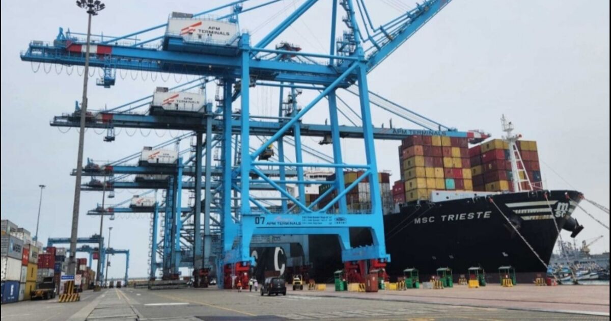 América Latina lidera el crecimiento global en capacidad de servicios de líneas navieras