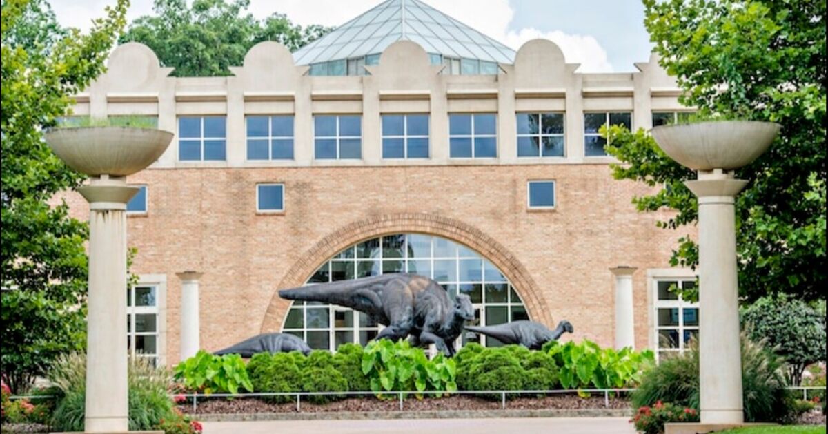 Atlanta ATL se ubica entre los 20 mejores destinos de EE. UU. para amantes del arte y los museos