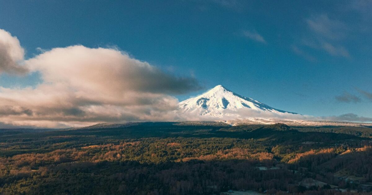 Chile como “refugio verde” global: Por qué los ojos de la inversión extranjera están puestos en el modelo de conservación chileno