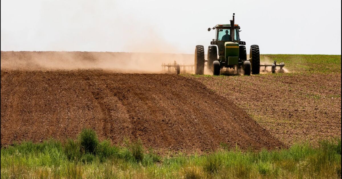 Aumenta la confianza de los agricultores a medida que mejoran las condiciones actuales en las granjas de EEUU