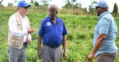 Jamaica: Se implementarán programas agrícolas multimillonarios en septiembre