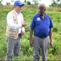 Jamaica: Se implementarán programas agrícolas multimillonarios en septiembre