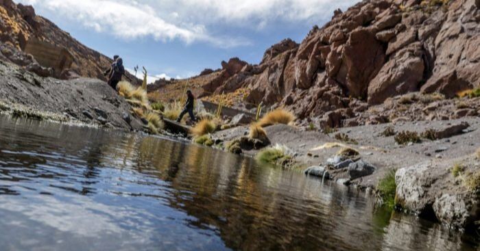 Educar desde la naturaleza: una urgencia en el Día mundial del Medioambiente