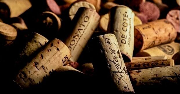 El Arte de elegir un vino: intuición, encuentro y revelación