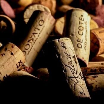 El Arte de elegir un vino: intuición, encuentro y revelación