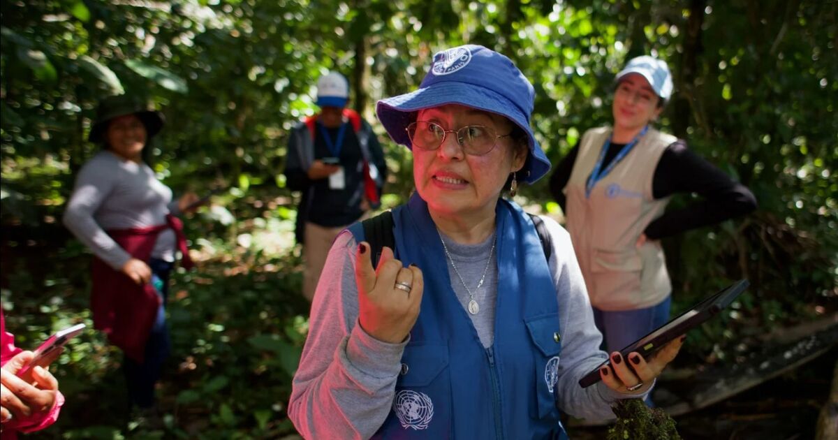 Ecuador fortalece cadenas agroforestales positivas con los bosques en cacao y café