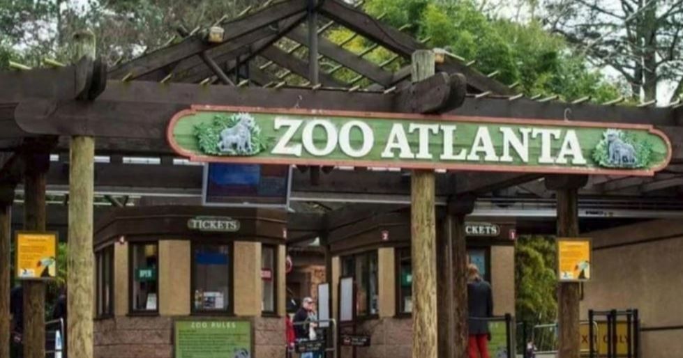 Cierran más temprano el Zoológico de Atlanta por el calor